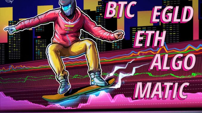 BTC, ETH, MATIC, ALGO, EGLD